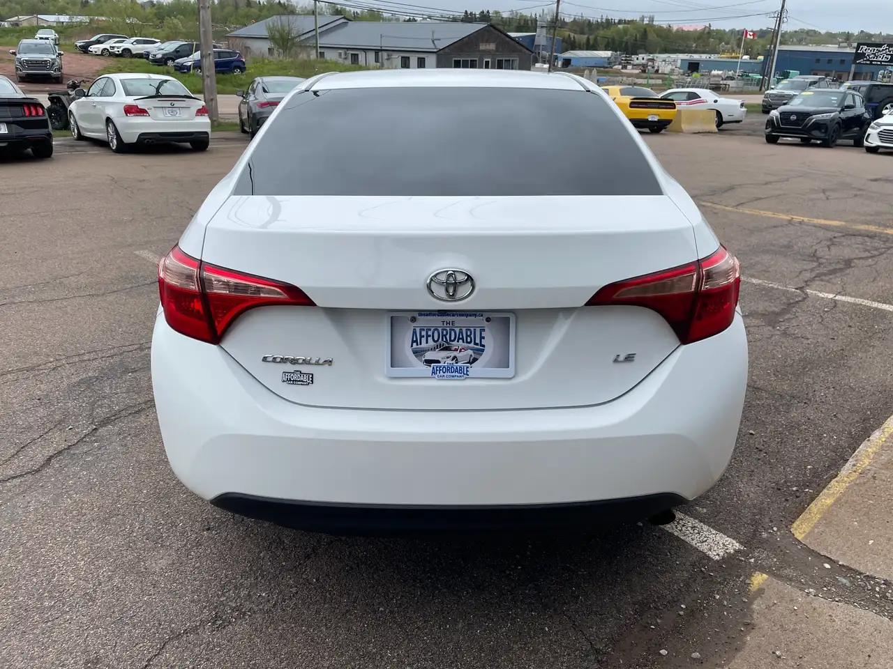Toyota Corolla photo Toyota Corolla