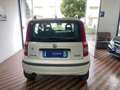 Fiat Panda Panda 1.4 Dynamic Natural Power Bianco - thumbnail 6