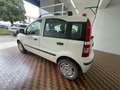 Fiat Panda Panda 1.4 Dynamic Natural Power Bianco - thumbnail 3