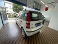 Fiat Panda Panda 1.4 Dynamic Natural Power Bianco - thumbnail 5