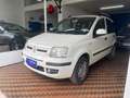 Fiat Panda Panda 1.4 Dynamic Natural Power Bianco - thumbnail 2