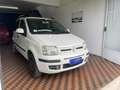 Fiat Panda Panda 1.4 Dynamic Natural Power Bianco - thumbnail 1