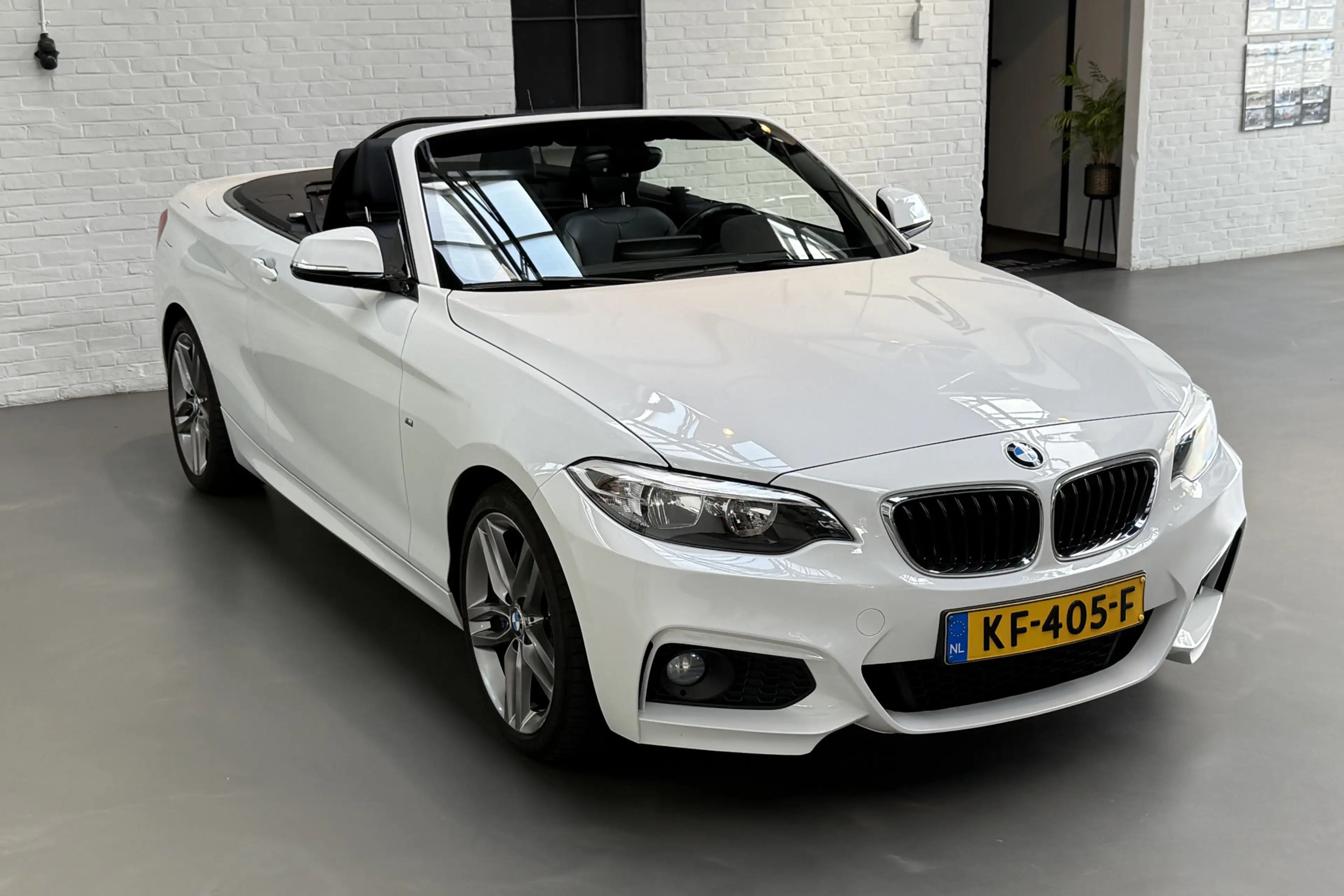 BMW 220 2-serie Cabrio 220i Centennial High Executive M-Sp — photo 29