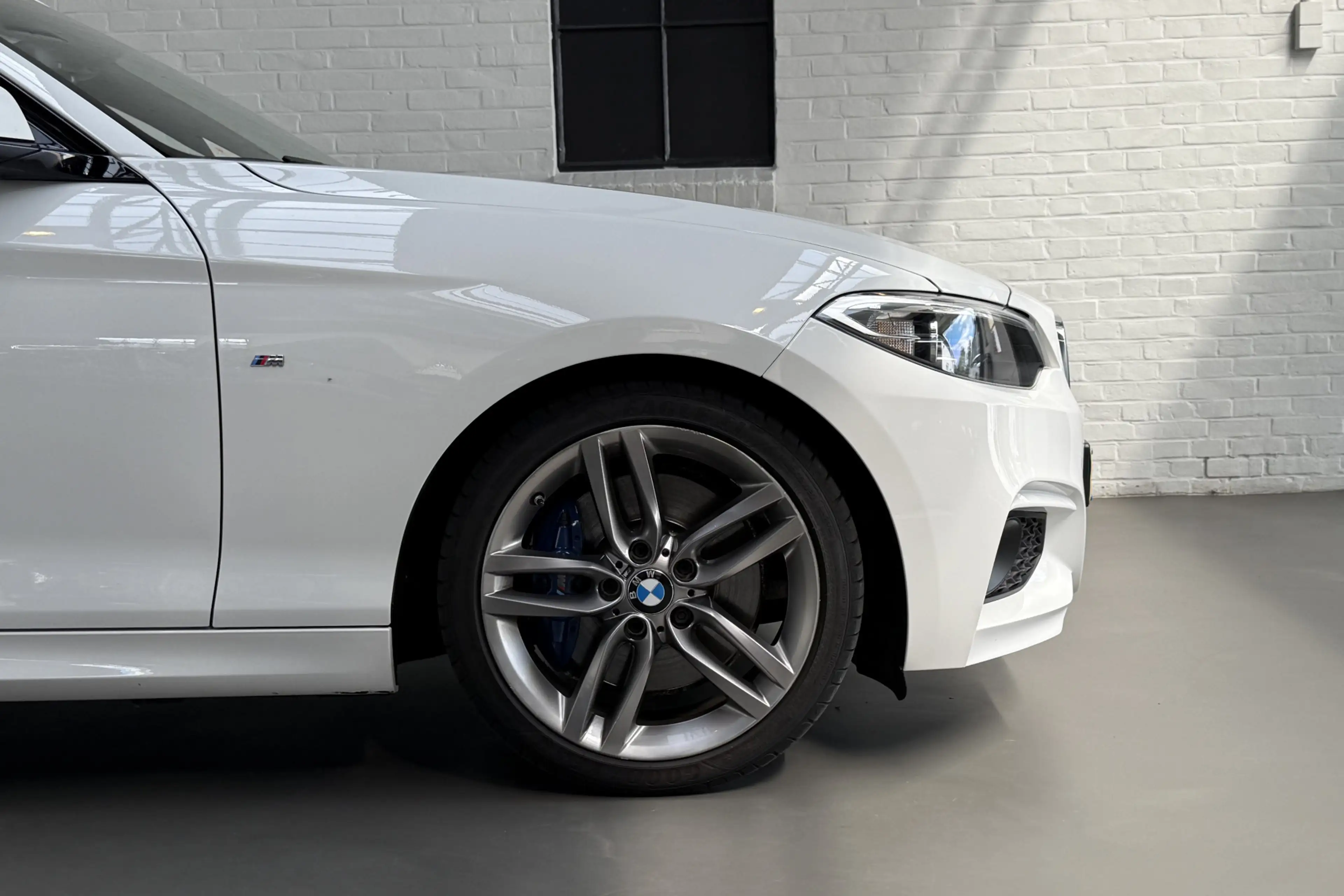 BMW 220 2-serie Cabrio 220i Centennial High Executive M-Sp — photo 45