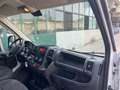 Citroen Jumper JUMPER 33 M2 H2 BLUEHDI 140CV 5,5 M. INT 3,20 Bianco - thumbnail 15