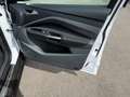 Ford C-Max C-MAX iconic 1,0 EcoBoost Weiß - thumbnail 15