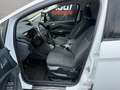 Ford C-Max C-MAX iconic 1,0 EcoBoost Weiß - thumbnail 13