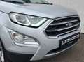 Ford EcoSport Titanium, Schiebedach, Kamera Plateado - thumbnail 6