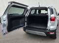 Ford EcoSport Titanium, Schiebedach, Kamera Plateado - thumbnail 11