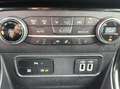 Ford EcoSport Titanium, Schiebedach, Kamera Plateado - thumbnail 18