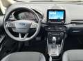 Ford EcoSport Titanium, Schiebedach, Kamera Plateado - thumbnail 28