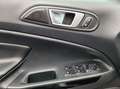 Ford EcoSport Titanium, Schiebedach, Kamera Plateado - thumbnail 14