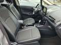 Ford EcoSport Titanium, Schiebedach, Kamera Plateado - thumbnail 32