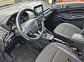 Ford EcoSport Titanium, Schiebedach, Kamera Plateado - thumbnail 13