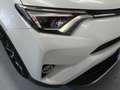 Toyota RAV 4 Rav4 2.5l hybrid 2WD Feel! Blanco - thumbnail 33
