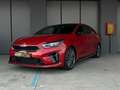 Kia Ceed / cee'd ProCeed 1.6 crdi GT Line Plus 136cv dct my20 Rosso - thumbnail 2