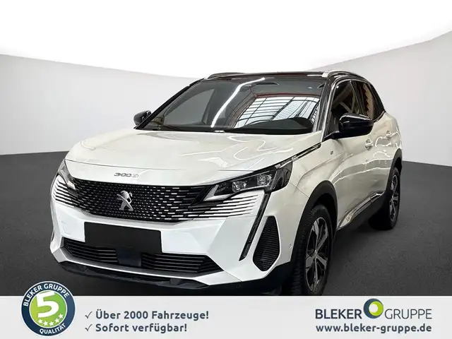 Peugeot 3008 view 2