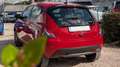 Lancia Y HYBRID GOLD FIREFLY 1.0cc 70cv Rosso - thumbnail 4