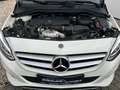 Mercedes-Benz B 180 Urban Style Edition LED Navi AHK Insp. neu Blanc - thumbnail 22