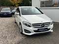Mercedes-Benz B 180 Urban Style Edition LED Navi AHK Insp. neu Blanc - thumbnail 8