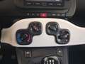 Fiat Panda Panda 1.0 FireFly S&S Hybrid Pandina Bleu - thumbnail 21