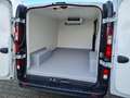 Renault Trafic Kühlkasten L2 Frischdienst 3.07 to TEMPOMA Weiß - thumbnail 8
