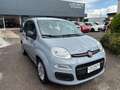 Fiat Panda 2021 1.0 firefly hybrid s Grigio - thumbnail 1