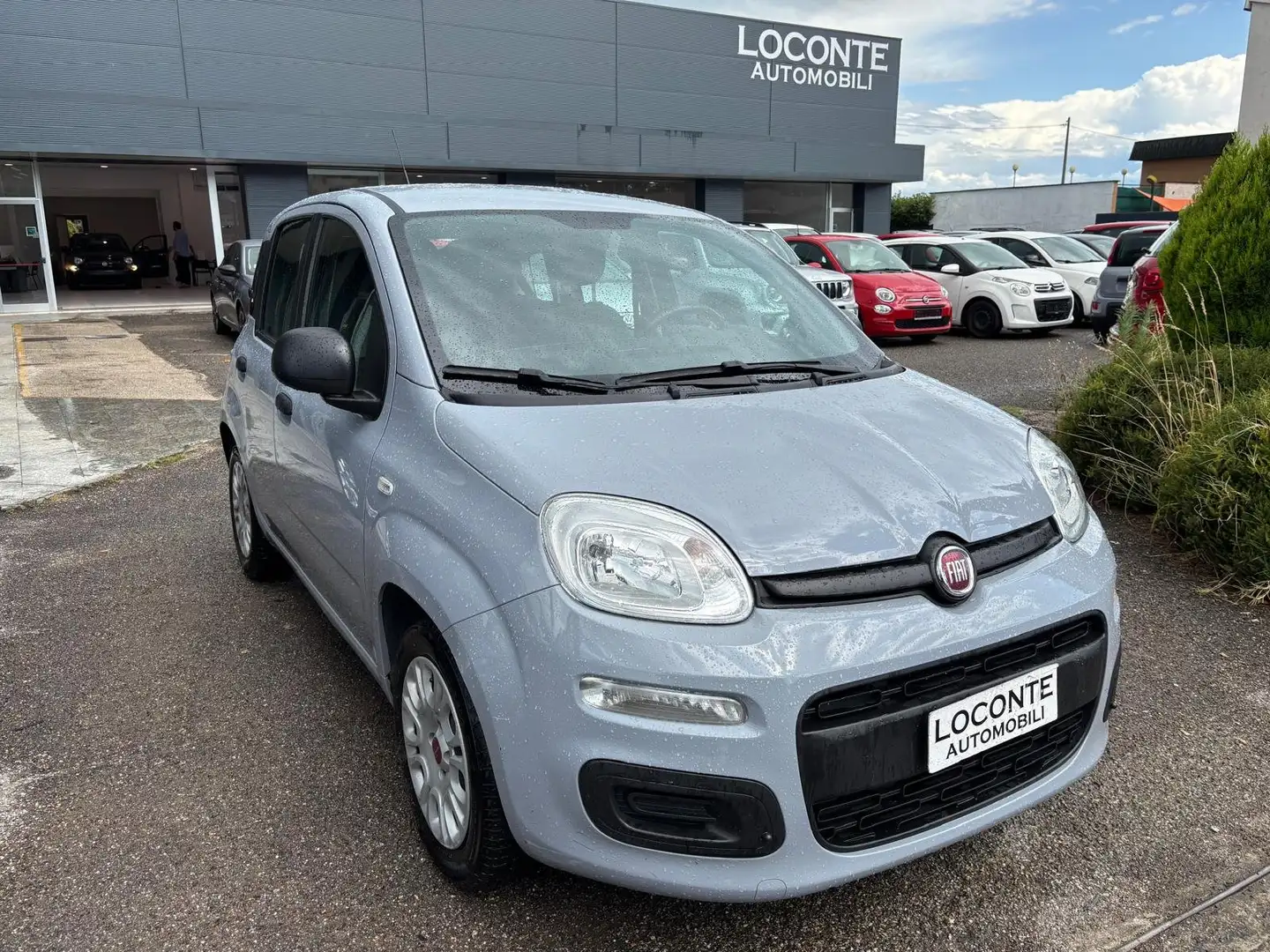 Fiat Panda 2021 1.0 firefly hybrid s Grigio - 1