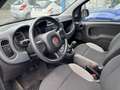 Fiat Panda 2021 1.0 firefly hybrid s Grigio - thumbnail 9