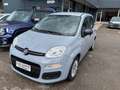 Fiat Panda 2021 1.0 firefly hybrid s Grigio - thumbnail 4
