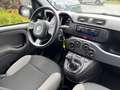Fiat Panda 2021 1.0 firefly hybrid s Grigio - thumbnail 8