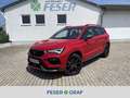 CUPRA Ateca 2.0 TSI AHK ACC 19" PANO SHZ eKLAPPE Rot - thumbnail 1