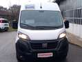 Fiat Ducato 2.2 L2 H2 KM 59000 NO MAIL Bianco - thumbnail 2
