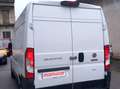 Fiat Ducato 2.2 L2 H2 KM 59000 NO MAIL Bianco - thumbnail 4