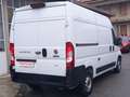 Fiat Ducato 2.2 L2 H2 KM 59000 NO MAIL Bianco - thumbnail 3