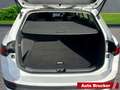 Volkswagen Passat Var. 2.0 TDI Business+LED+AHK+Navi+3-Zonen-Klima+S Weiß - thumbnail 5