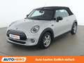 MINI Cooper Cabrio Cooper Grau - thumbnail 1