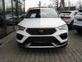 CUPRA Ateca VZ 2.0 TSI DSG 4x4 Allrad PANO*TOPVIEW*NAVI*BEATS Weiß - thumbnail 3