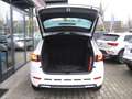 CUPRA Ateca VZ 2.0 TSI DSG 4x4 Allrad PANO*TOPVIEW*NAVI*BEATS Weiß - thumbnail 7