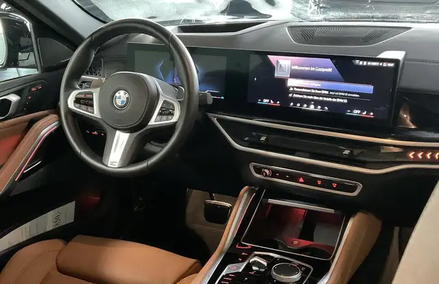 BMW X6 view 6