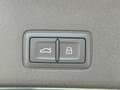 Audi Q3 Sportback Basis MJ 2026 PANO+AHK+NAVI+KAMERA+EL... Grün - thumbnail 15
