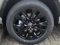 Toyota RAV 4 2.5 Hybrid AWD Style Bi-Tone Stoel Stuur Verwarmin - thumbnail 34