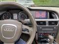 Audi A5 Cabrio 3.0 TDI DPF quattro S tronic Braun - thumbnail 7