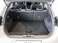 Ford Puma 1.0i Ecoboost  ST-LineX Facelift! Sport Leder Appl Gris - thumbnail 45