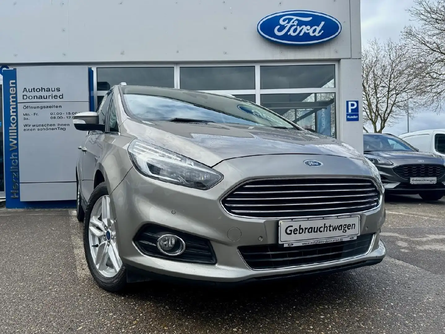 Ford S-Max Titanium Plateado - 1