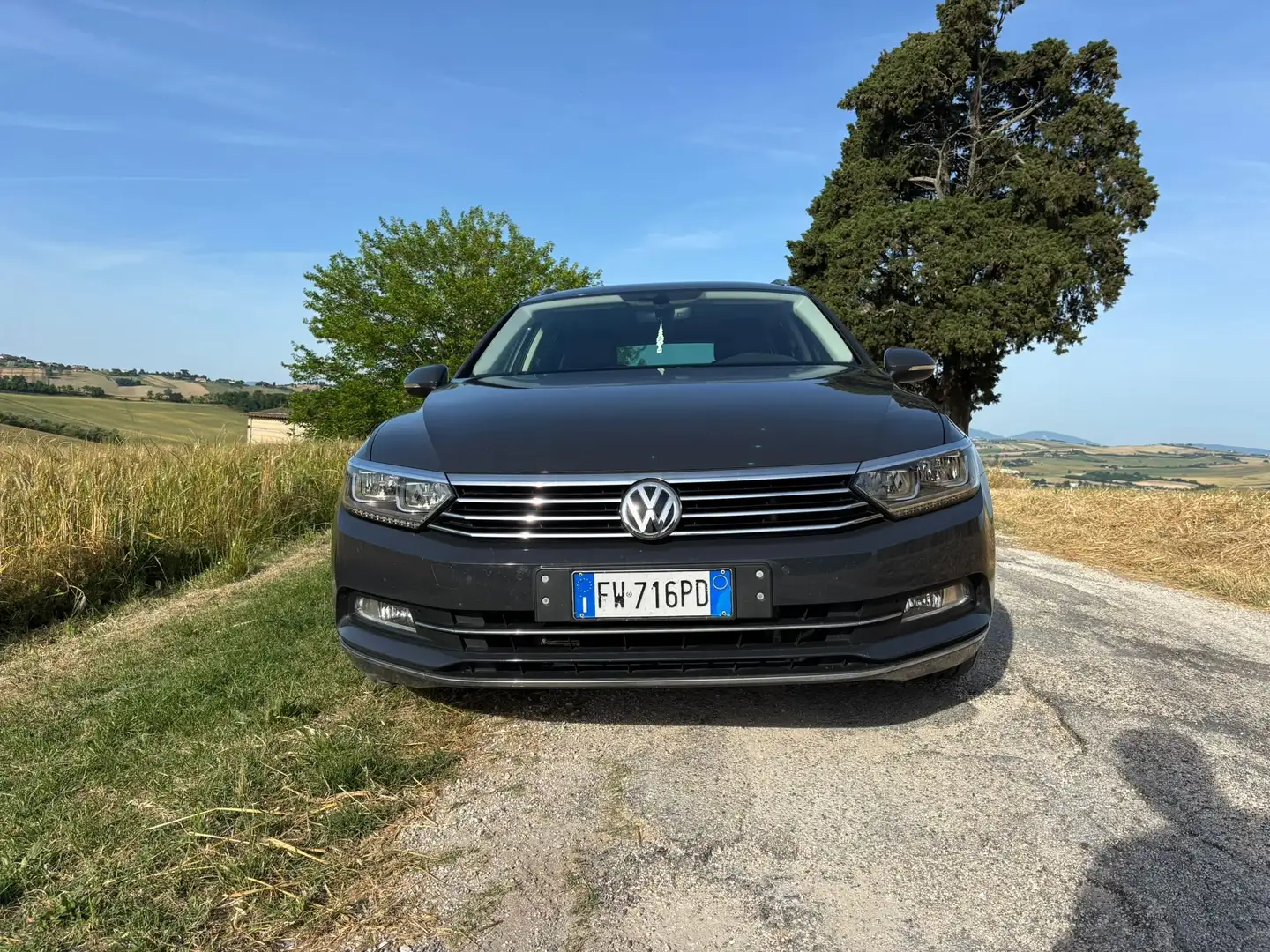 Volkswagen Passat Variant Passat B8 2019 2.0tdi Executive 150cv dsg 7m Grigio - 2