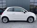 Fiat 500 1.0 Hybrid Lounge NL.Auto/26Dkm/Cruise-control/Nav Weiß - thumbnail 6