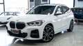 BMW X1 XDRIVE 20D M SPORT AUTO 19" TETTO PACK LUCI XENO P Blanco - thumbnail 28