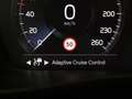 Volvo XC40 T4 PLUG-IN HYBRID MOMENTUM+ ACC CAMERA SCHUIFDAK A Wit - thumbnail 32