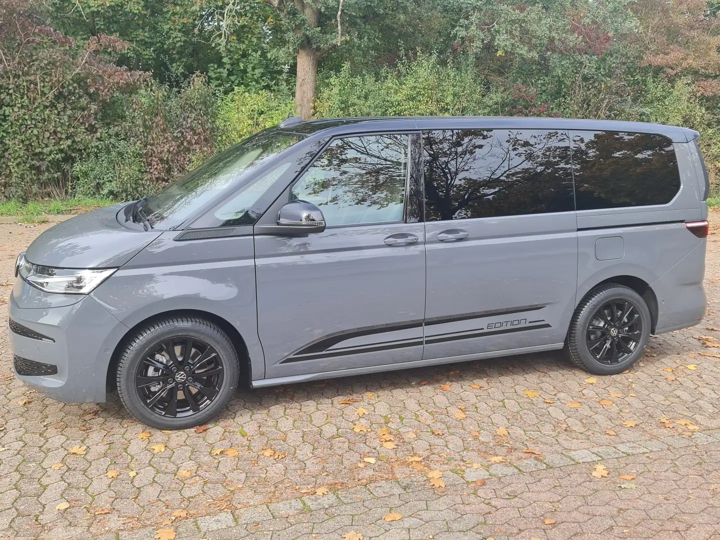 Volkswagen Bus T7 Multivan Grau - 1